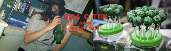 стаф Мензелинск